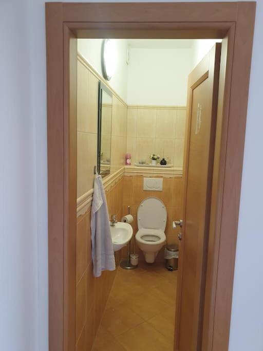 Mezonetovy Apartman V Centre Novej Dubnice Ilava 外观 照片